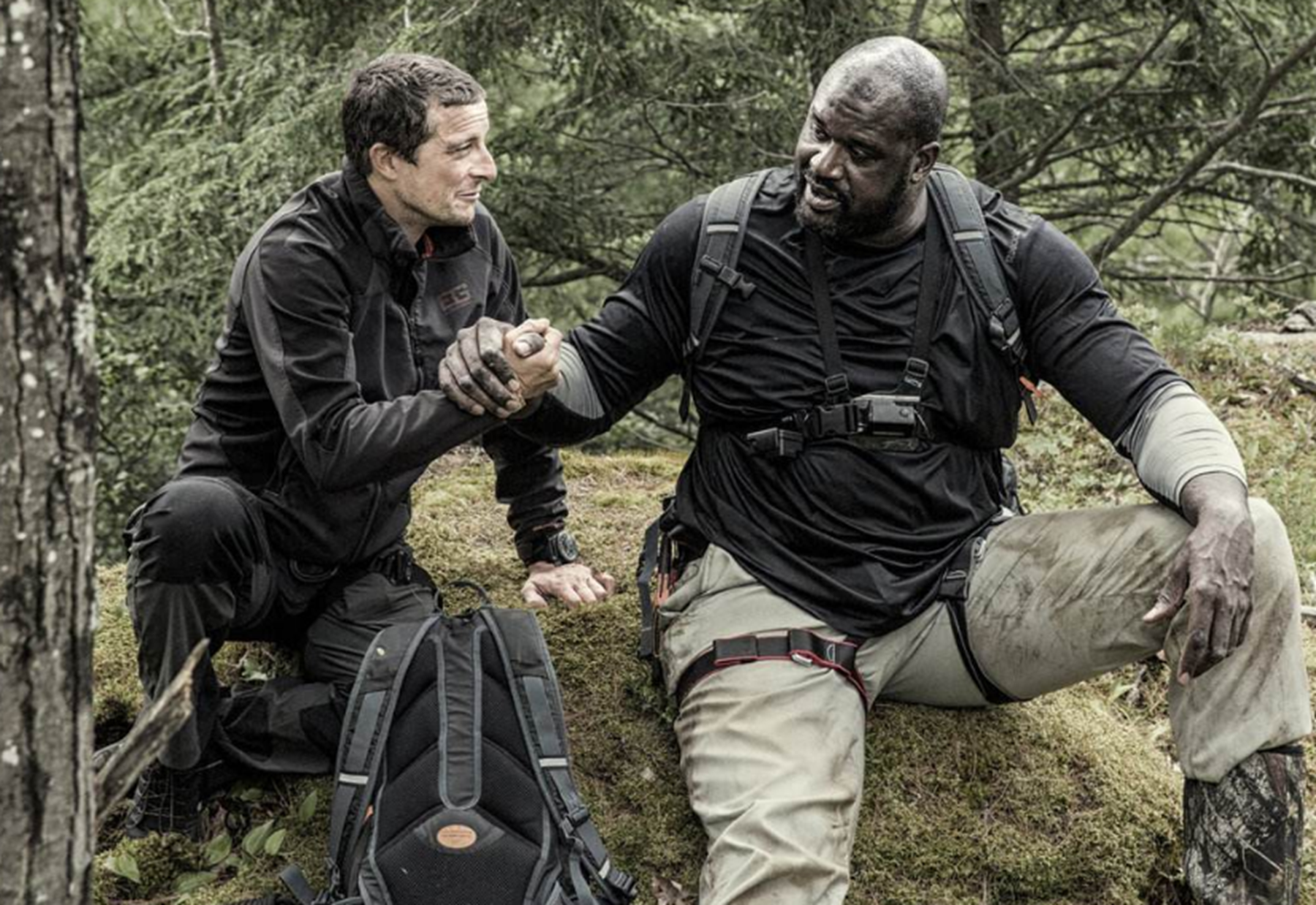 《荒野求生全明星》中国明星在第几季,这档综艺的主持人是谁