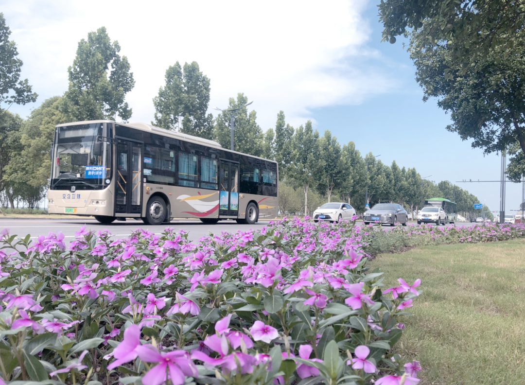 宜昌市城市客厅建设快速推进 满足市民多样化需求