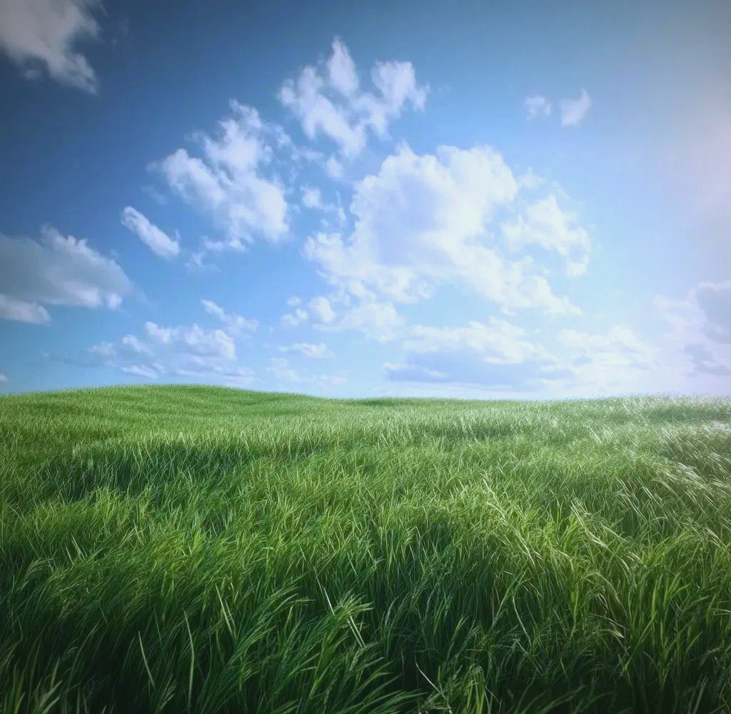 春草:古典诗词中生命与情感的象征