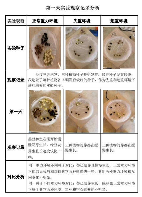 种绿植的过程图片