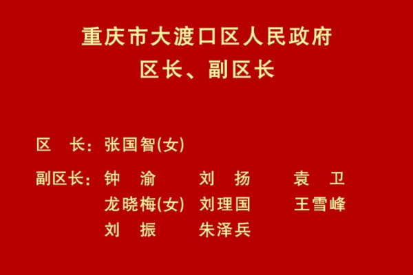 孟德华当选大渡口区人大常委会主任,张国智当选区长