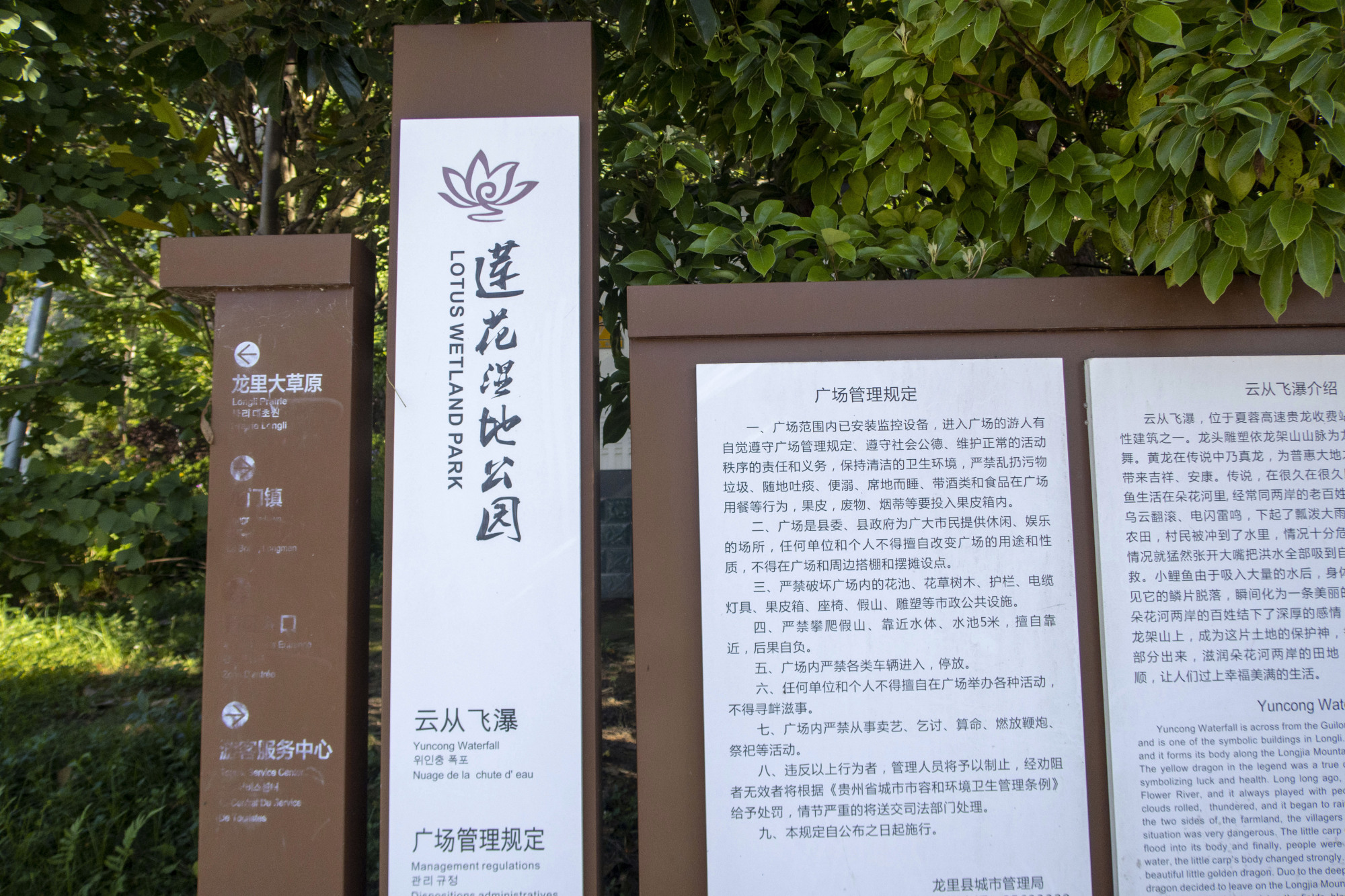 龙里莲花湿地公园