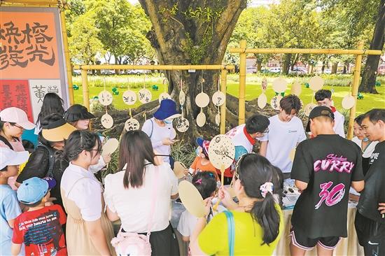 post-2000s enthusiastically protect ancient trees in a unique