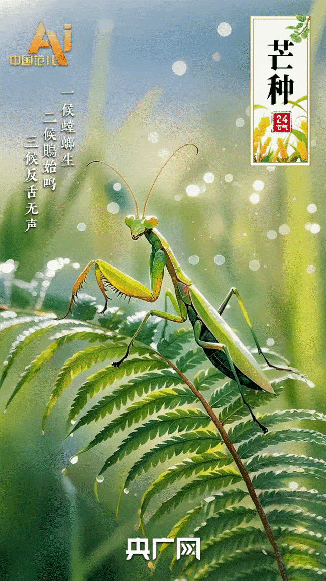 節氣里的中國智慧｜“芒”有所獲，“種”有所得-有駕