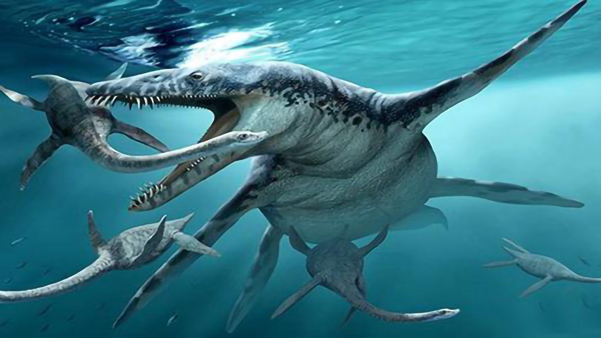 白垩纪海洋霸主苍龙,它有多霸道?如果它还活着会怎么样?