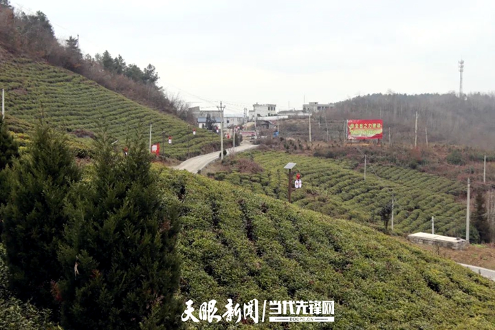 赫章县哲庄镇:人才引领发展 助力乡村振兴