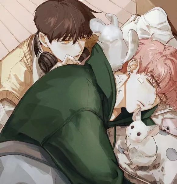 推文《水豚先生》作者:capybara(ab生崽甜文)