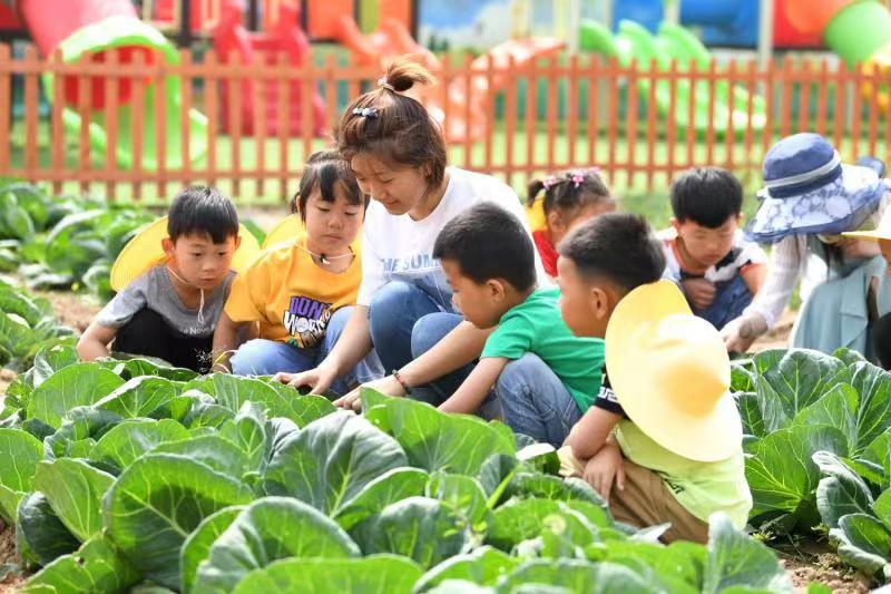 ��ͤ���������뷢����ѧǰ������������