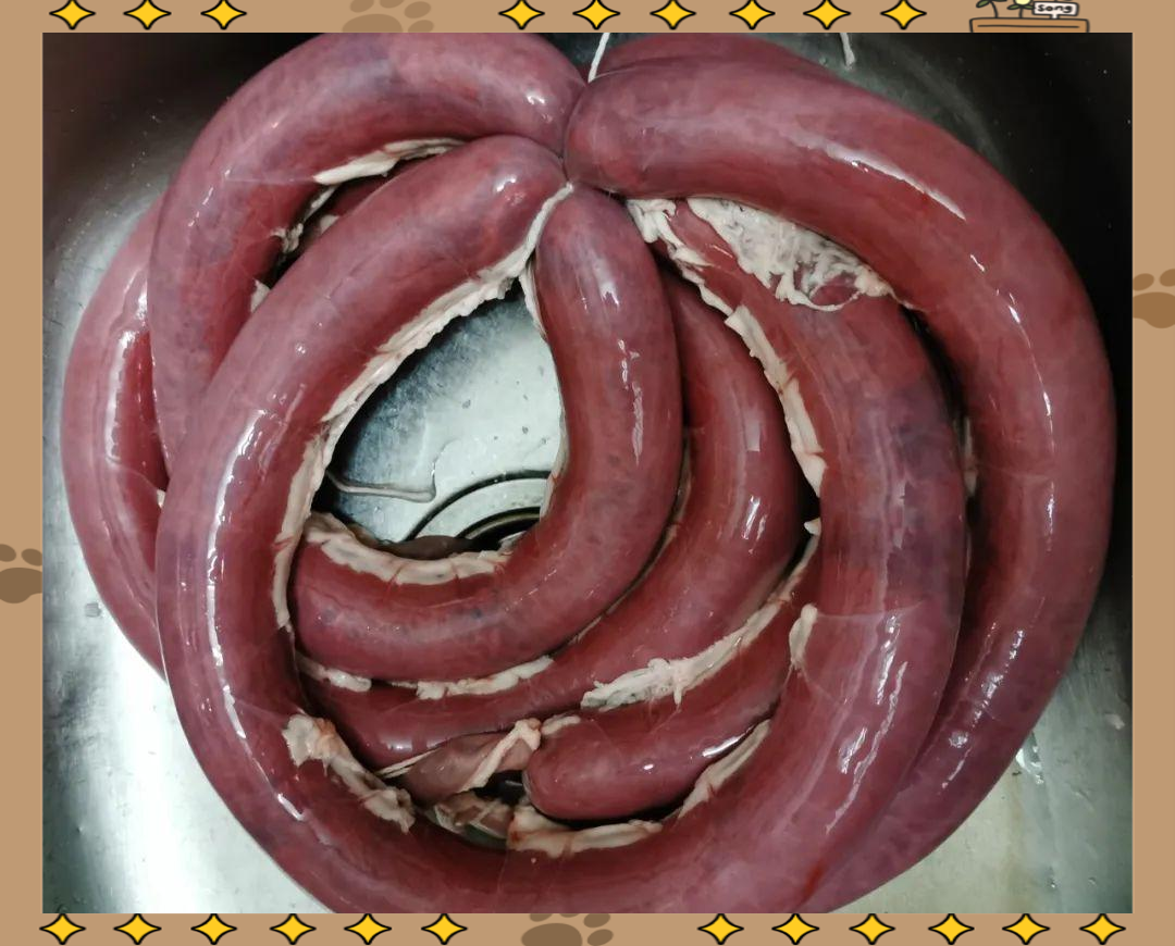 壮家美味:猪血肠的传统做法与健康食用建议