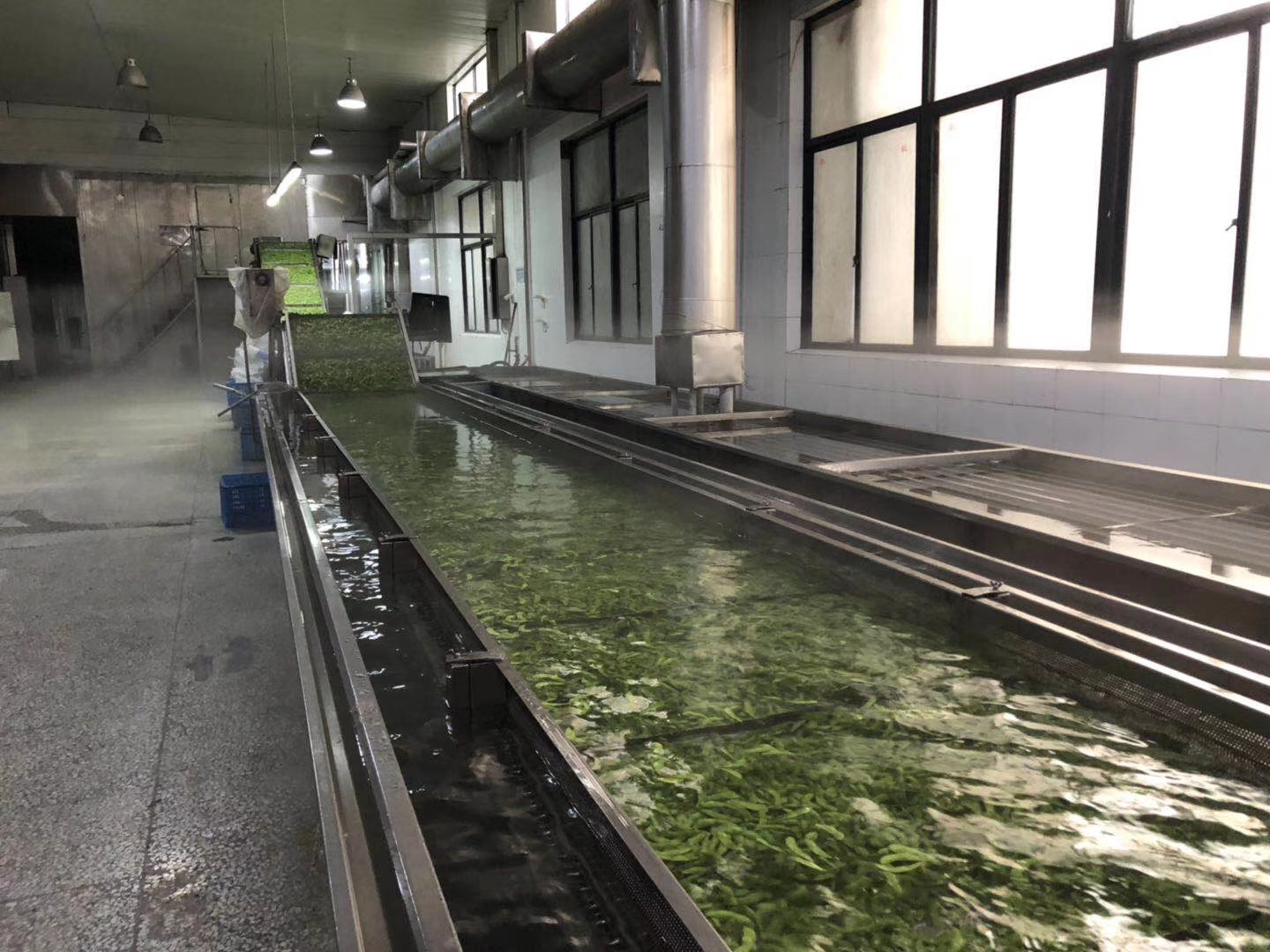 保鲜花椒加工设备