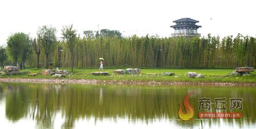 睢阳:睢园绿竹三百里(三)