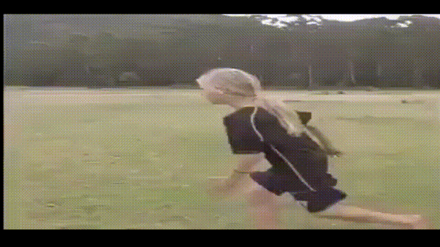 抽烟的驴,看着就令人发笑