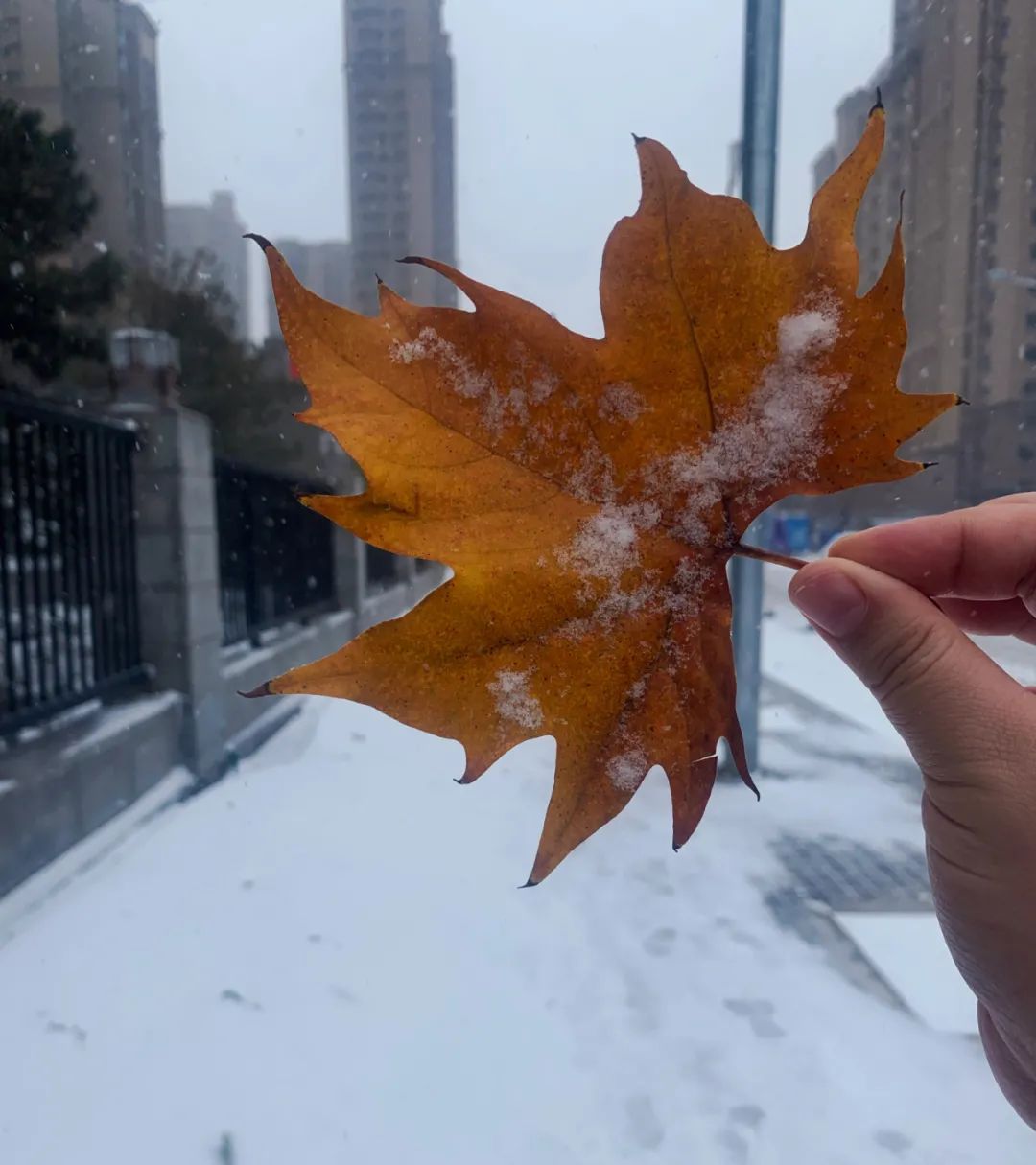 寒潮横扫大江南北多地下雪问题来了明天昆明真的会速冻吗?