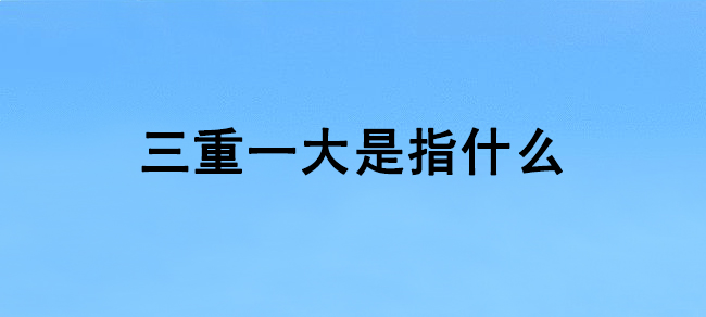 三重一大