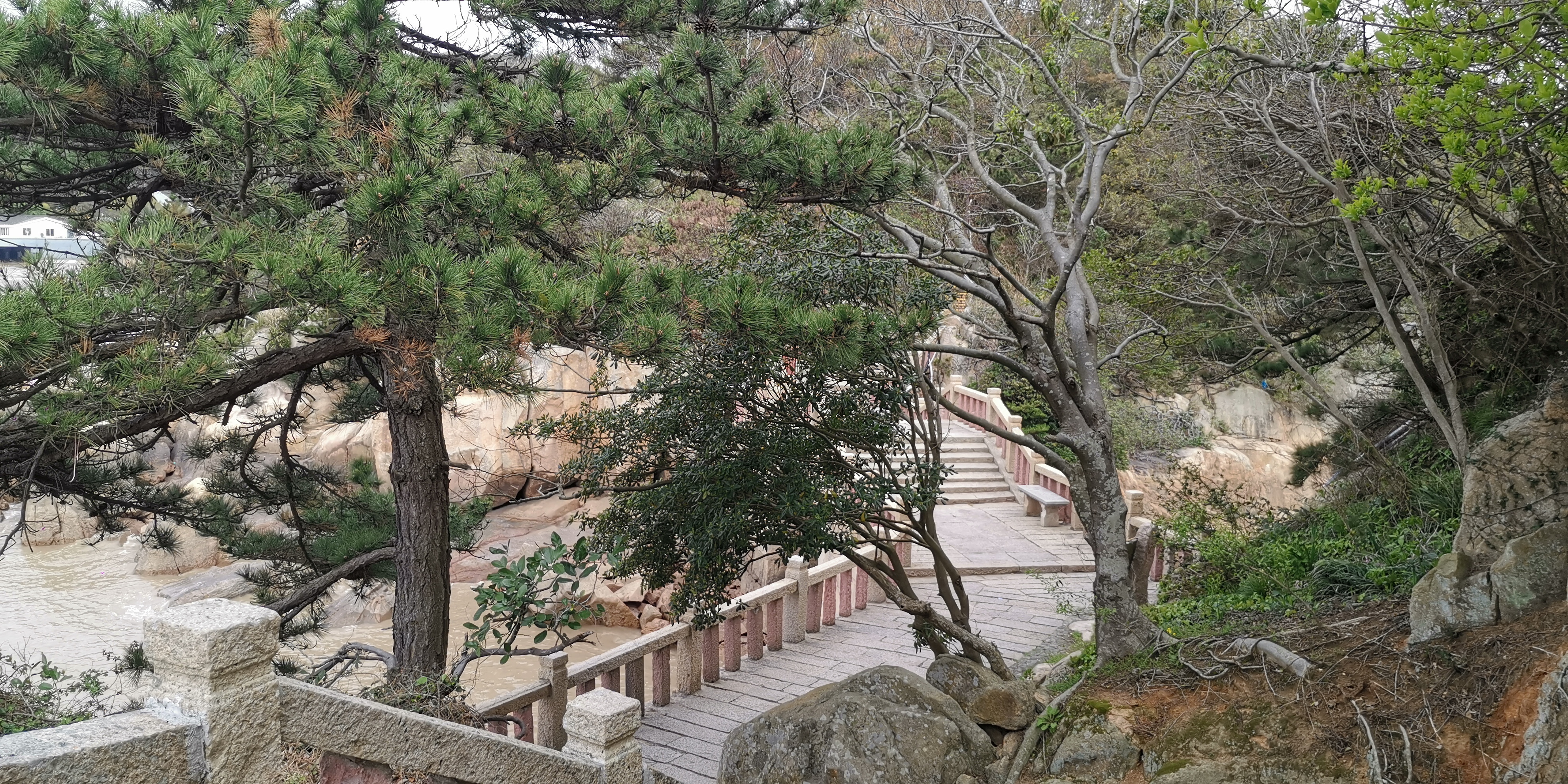 普陀山 海天佛国图片