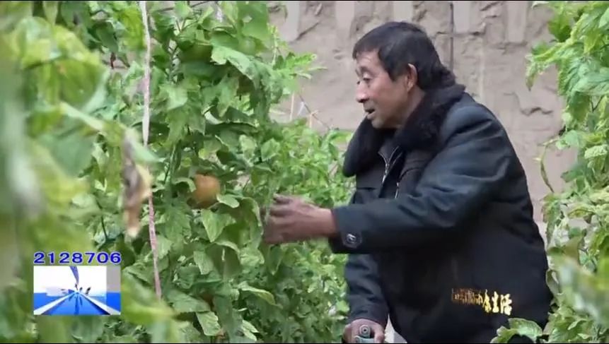 「走向我们的小康生活」刘万华:好光景是奋斗出来的