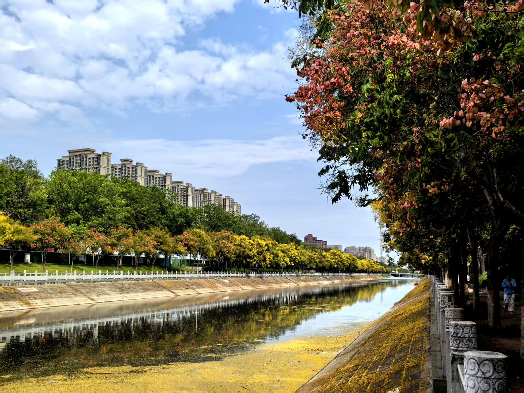 做好"加减乘除"法 打造东风渠优美休闲环境