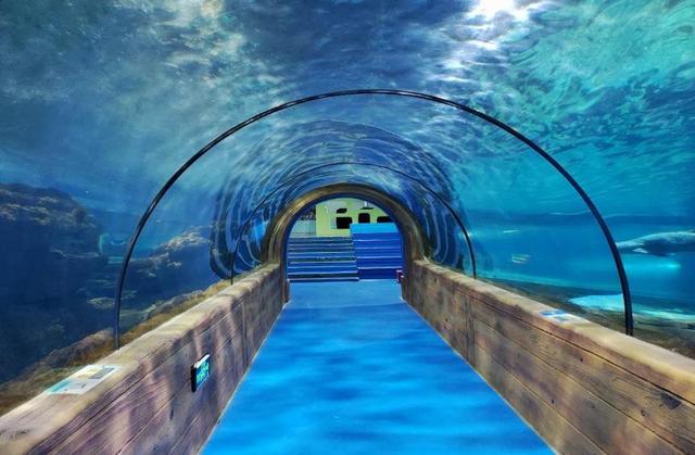 义乌微改造·精提升|小改造有大功效,海洋世界换新貌