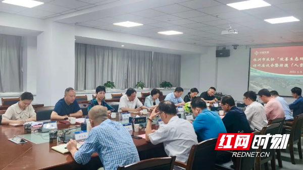 柳怀德赴清水塘片区开展"改善生态环境"专项民主监督调研