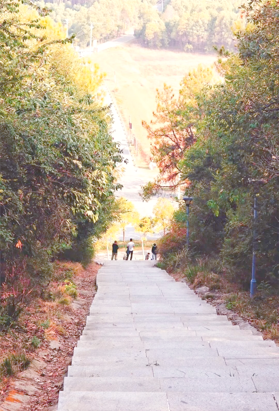 武汉周边免费登山胜地攻略