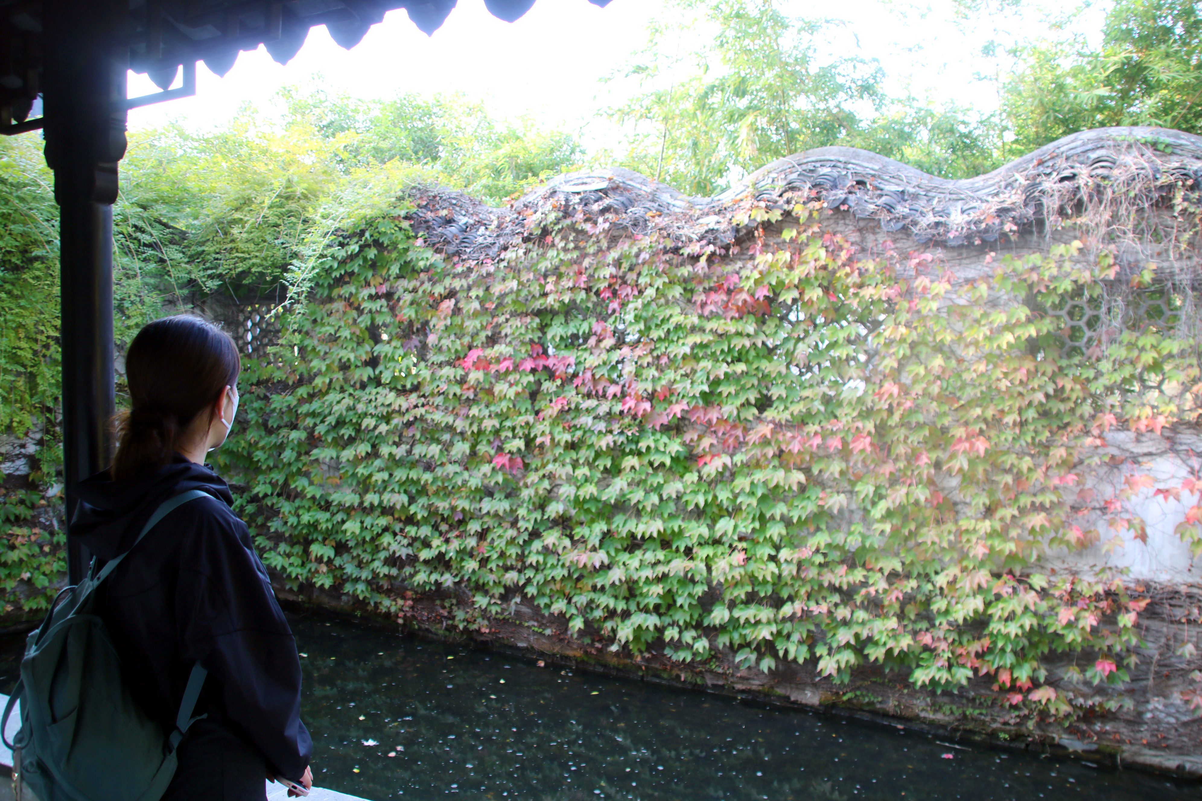 江苏苏州:古典园林拙政园色彩斑斓秋色渐浓