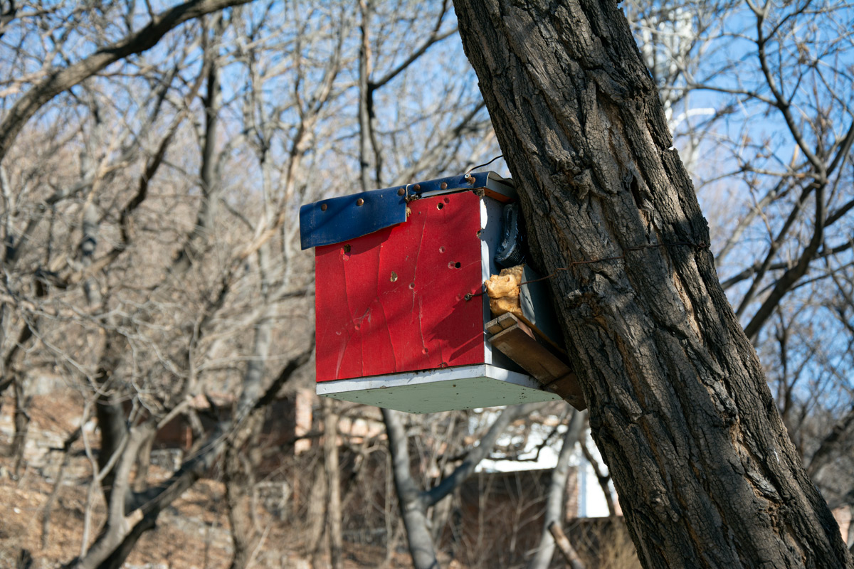 探访大连金家街,有个公园很神秘,有些老楼很有故事