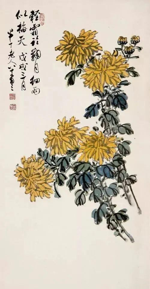 众多国画菊花图,展现悠然之美