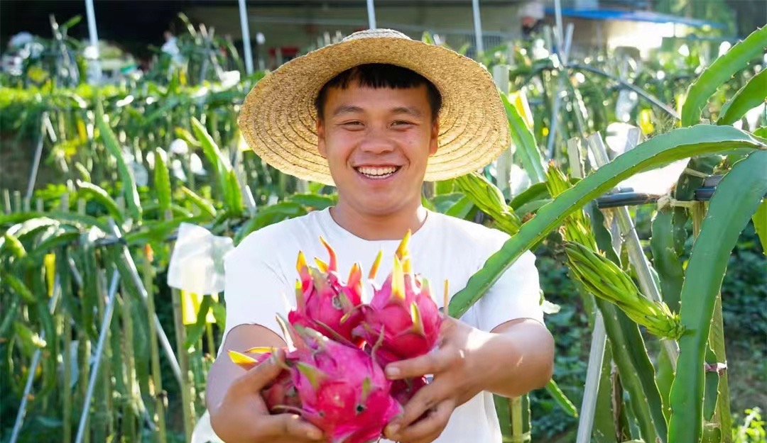 「两会百姓说」罗甸县龙坪镇板庚村村民陈乾坤:用奋斗的汗水酿造甜蜜