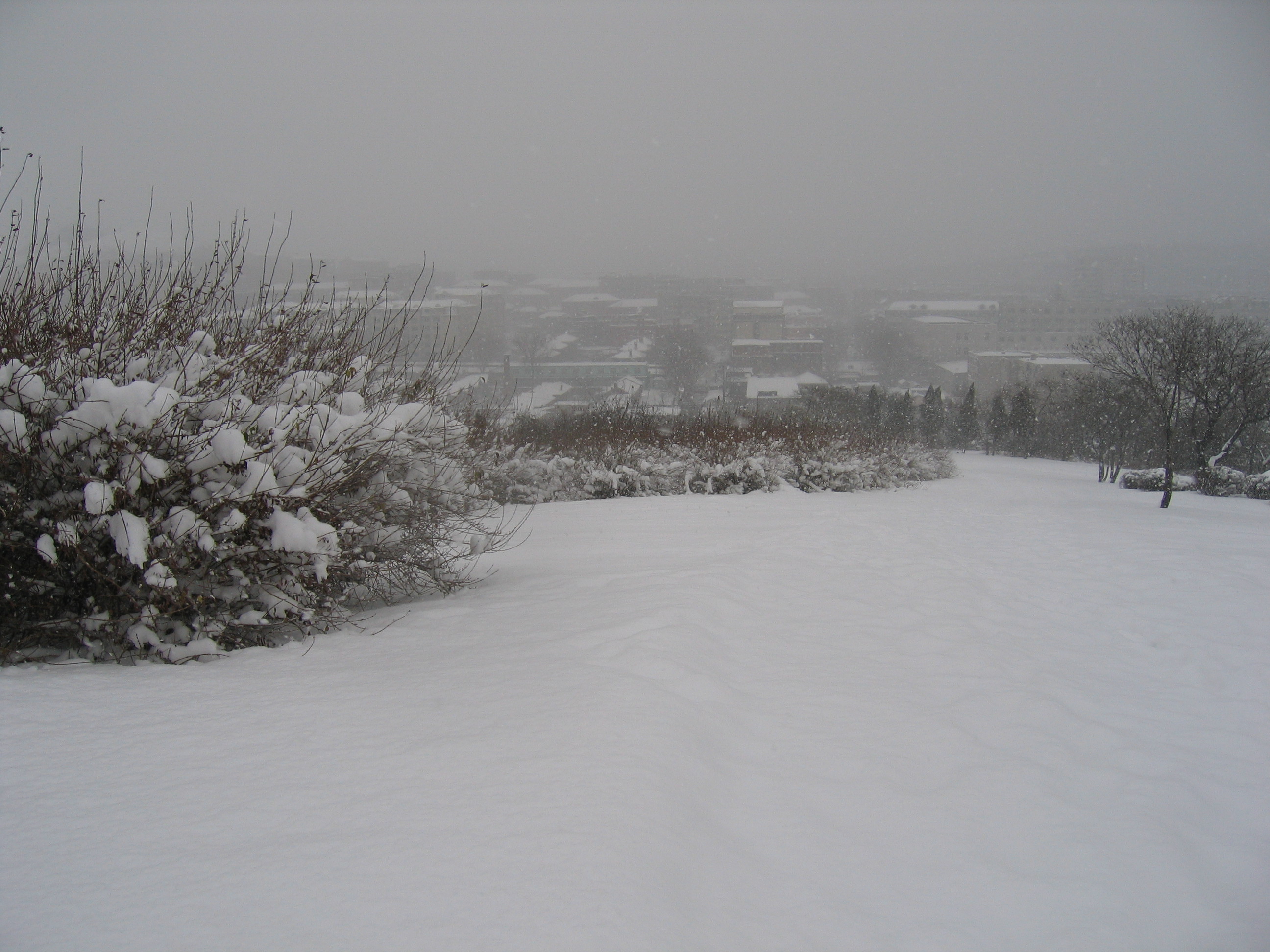 老照片2005大连甘井子樱花街(圈里——大化一宿舍)小编c723船船老长