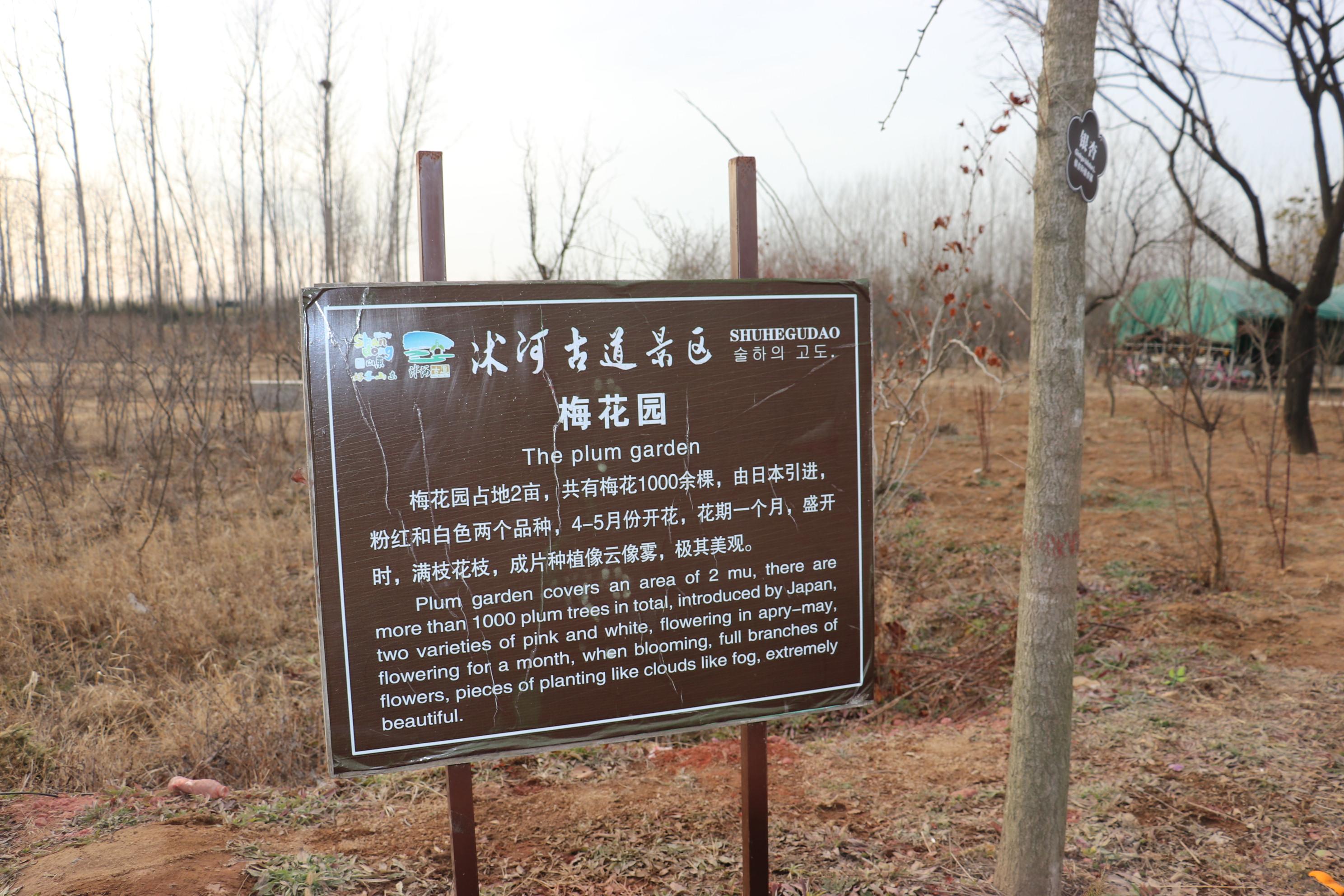 沭河古道风景区电话图片