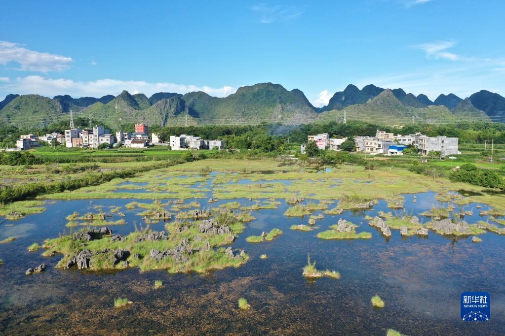 都安瑶族自治县高岭镇图片