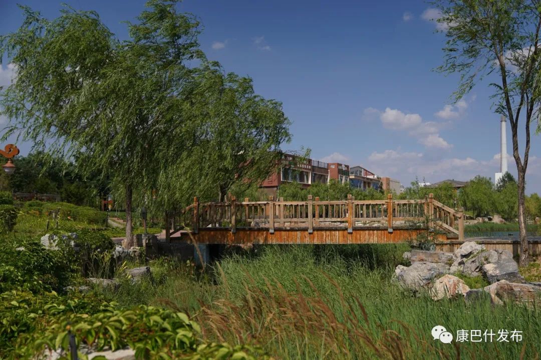 康之韵丨带你认识一下康巴什的"桥"家兄弟