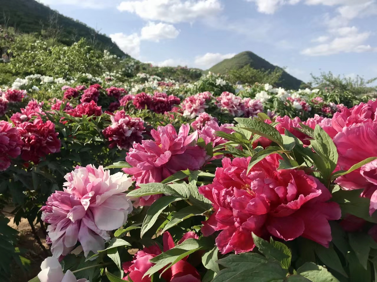 建昌天香园景区地址图片