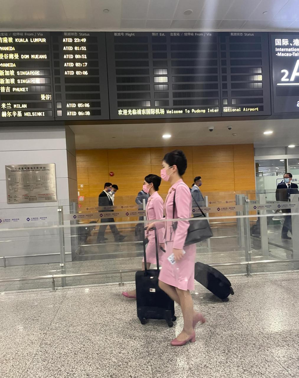 昨晚去浦东机场接人.