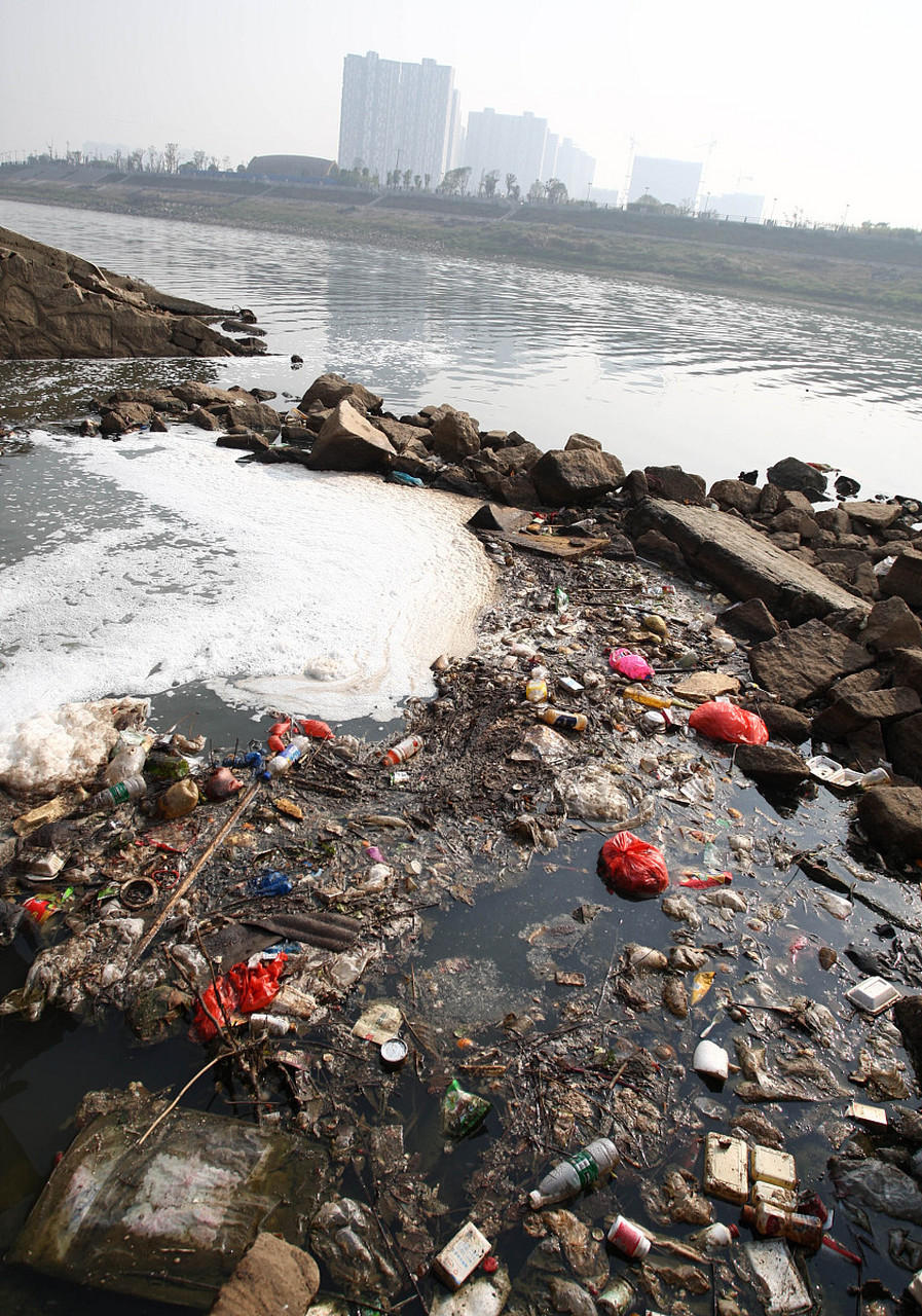 李百万的煎熬抉择:为何道德困境总让我们辗转难眠?