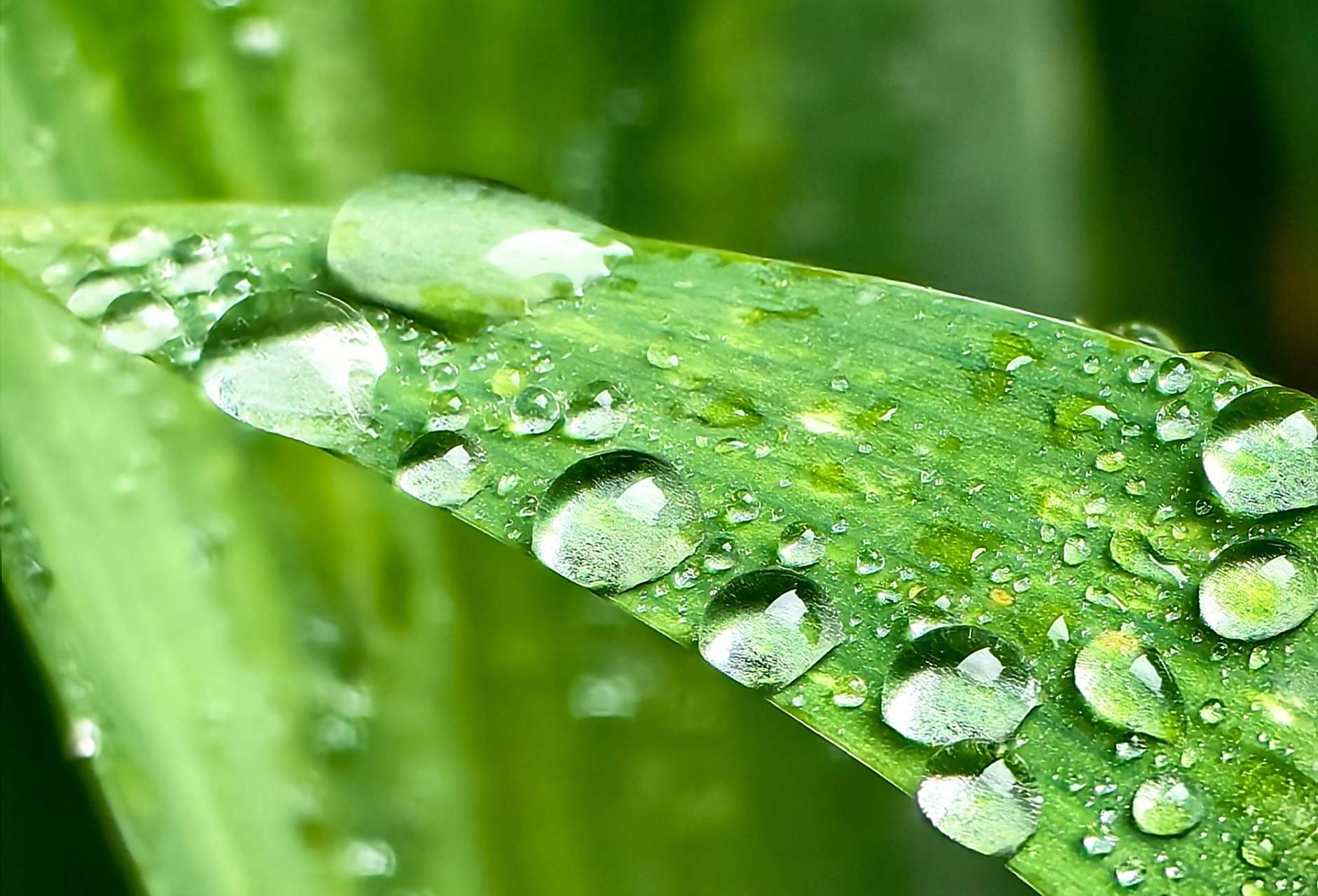 我现在终于明白了为什么华为p60art会有人选择了 毕竟是八九千的4g