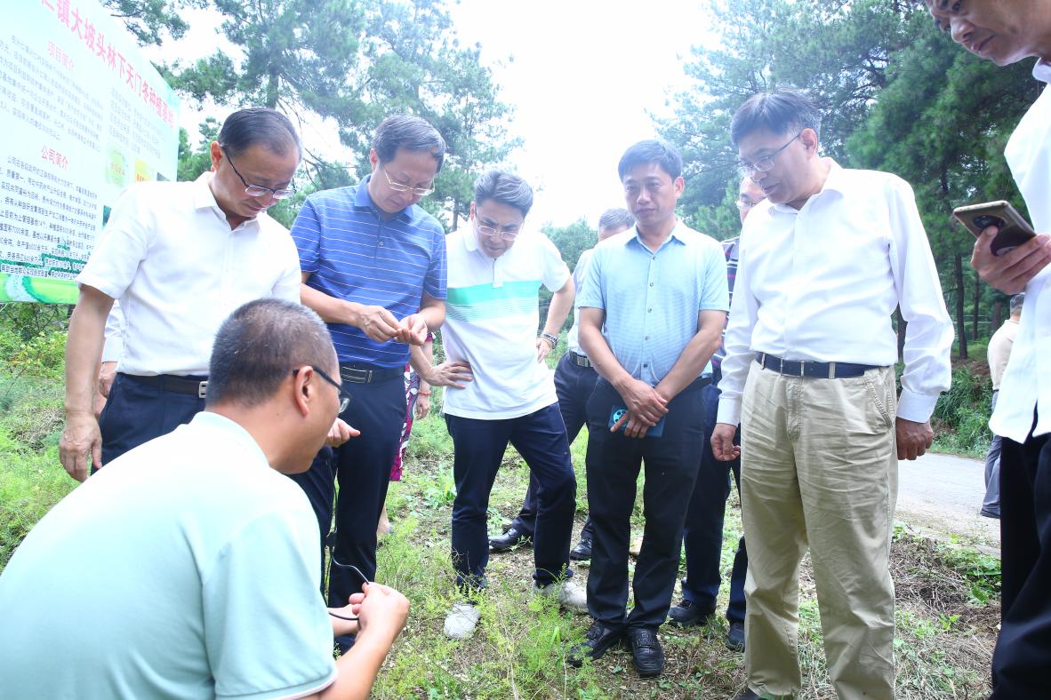 上海中医药大学党委书记曹锡康一行到丹寨县考察中医药产业发展