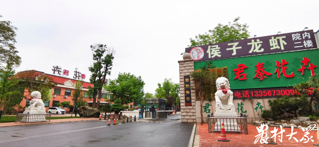 齐鲁最美退役军人王俊仁的共富经:"先治坡,后置窝" 发展