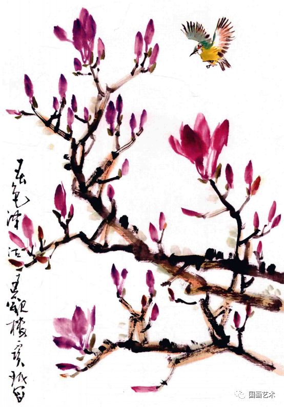 紫玉兰的工笔与写意画法