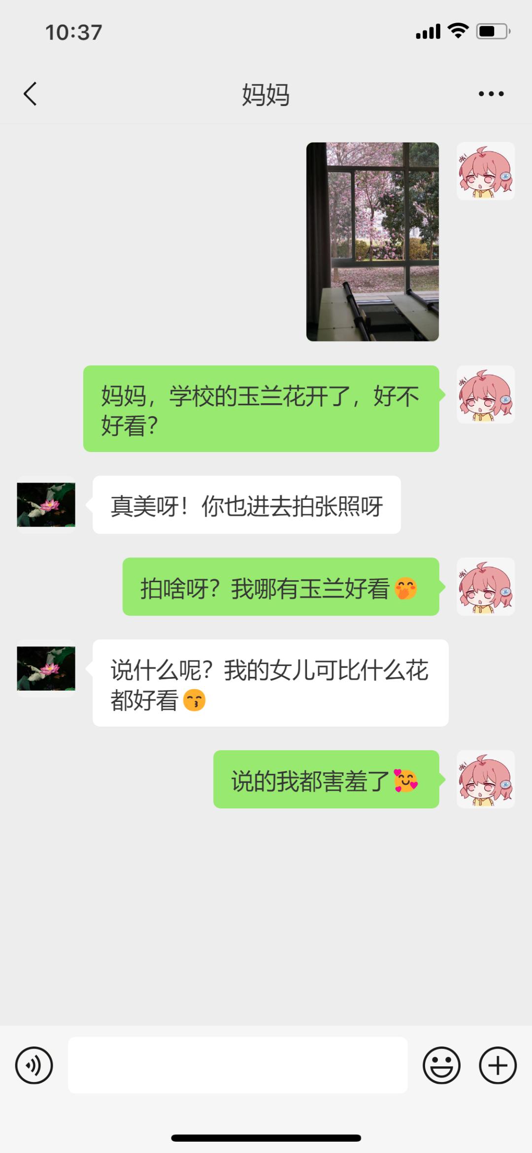 华科大学子珍藏了一年的聊天记录!