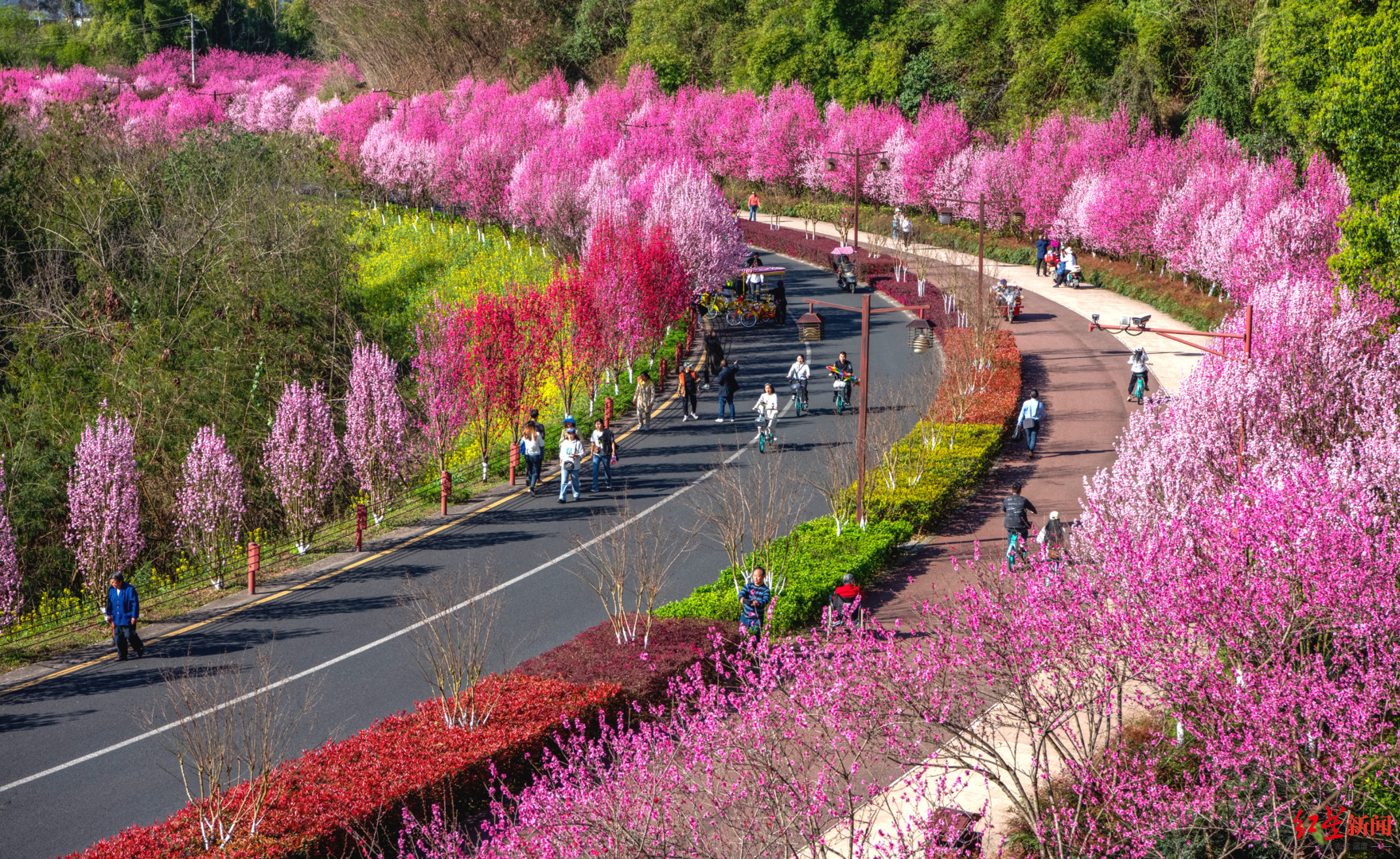 四川樂山嘉州綠心公園