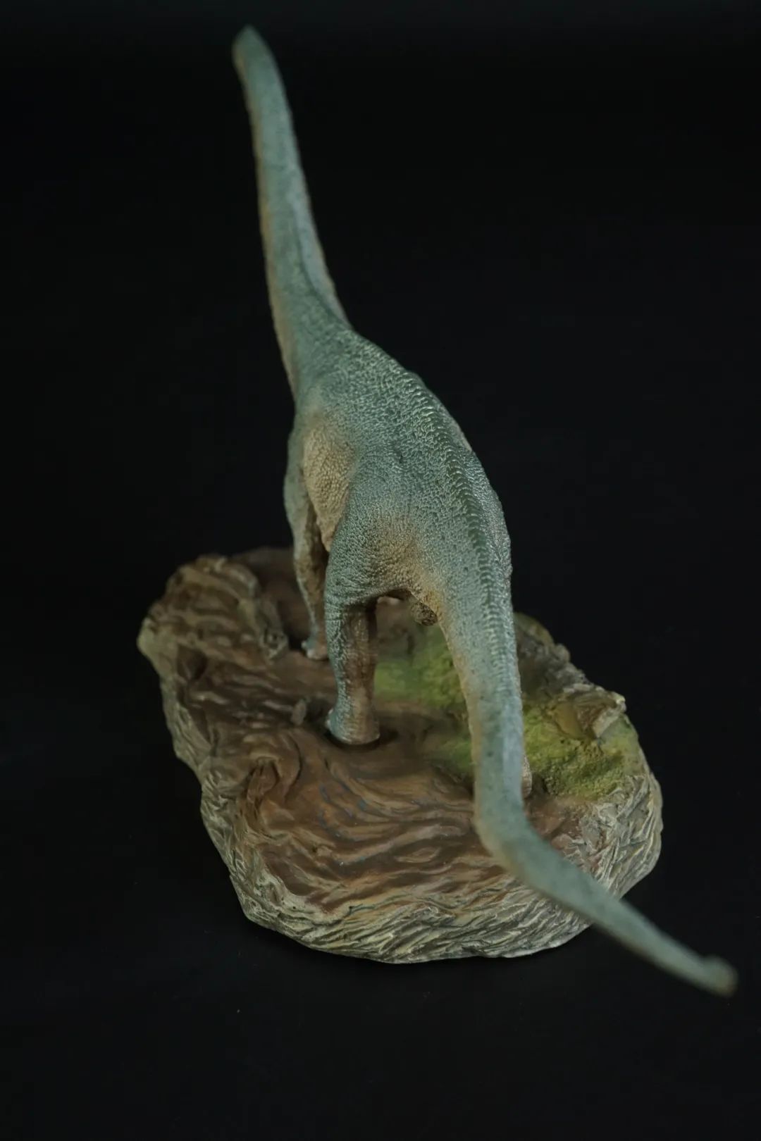 pnso博物馆系列新老马门溪龙