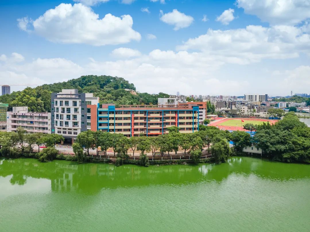 里水这所隐藏在山水林湖间的校园,灵气内涵兼备|最美学校③