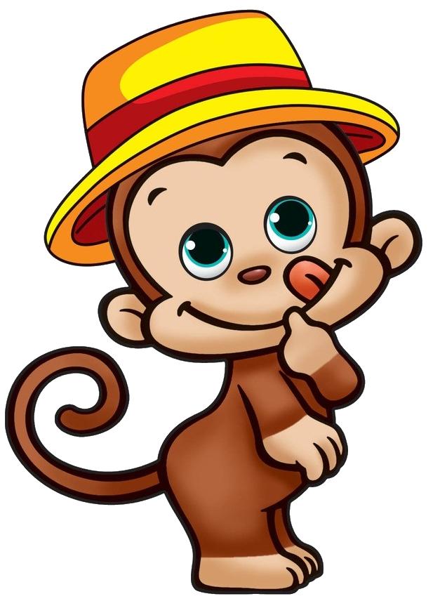 爱上花果山|花果山的猴