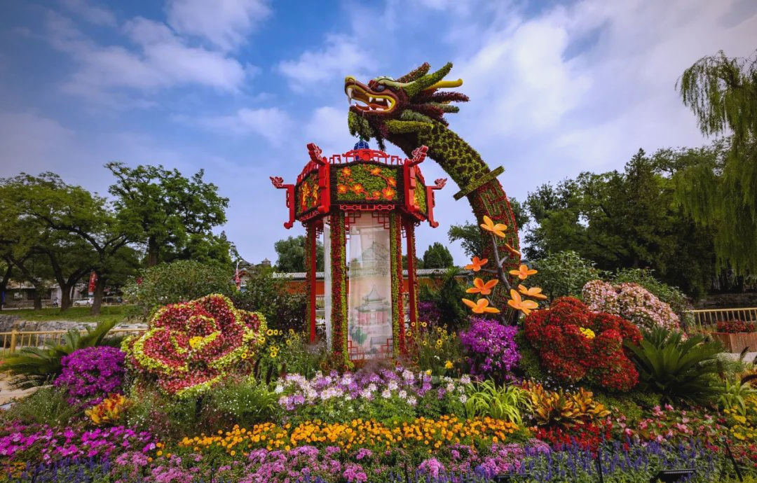 国庆假期,北京市属公园的花坛盛景等你来打卡