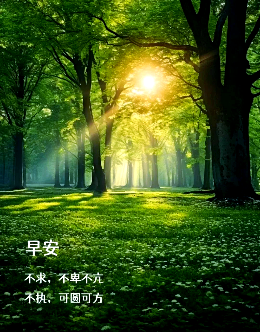 运用你的智慧,勤奋和热情,去点燃你生命中的那盏明灯,让它照亮你前行