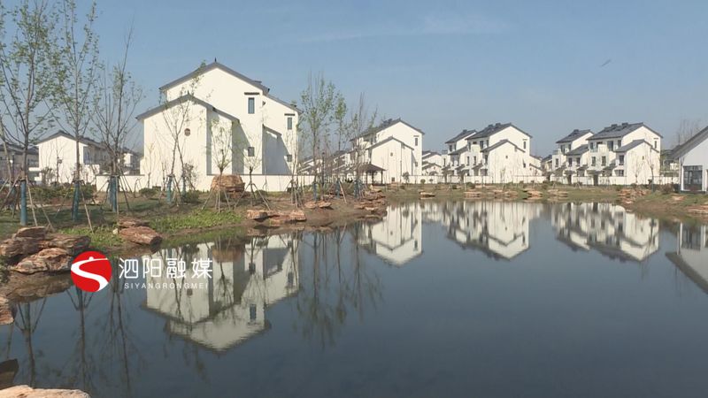 徐勤忠:盯着目标围绕项目扛着使命加快展现乡村振兴真模样