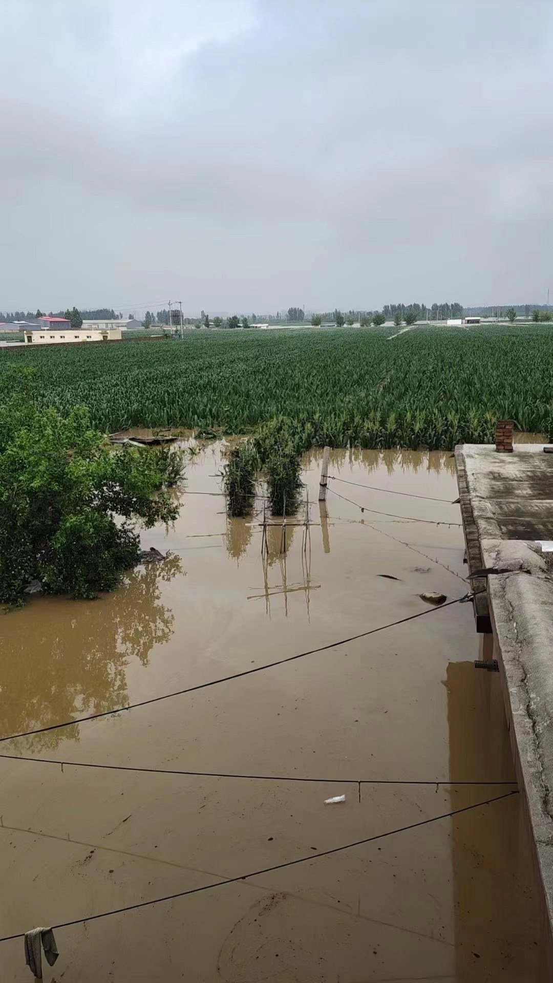 河北境内多水库陆续加大泄洪量,泄洪区居民:家里进水一米多深,路上都