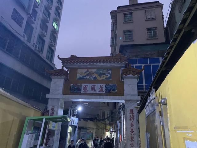 疫情之下,康乐,鹭江村又上"热搜"