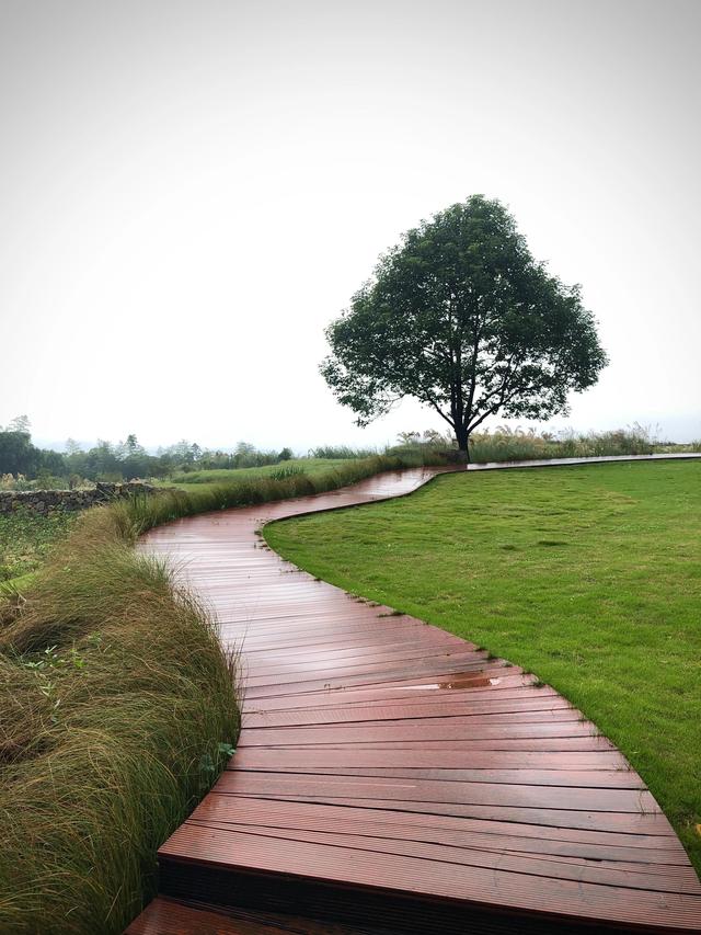 峨山大坪值得去的地方